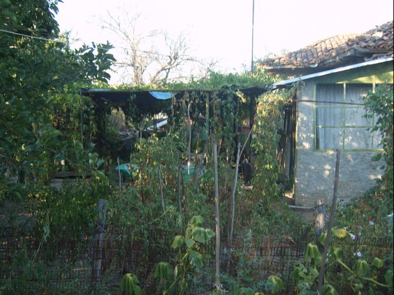 Immobilien Haus In Zementsi Dobrich Bulgarien 90 M2 Haus